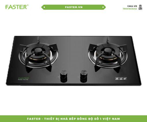 Gas Stove Faster 219S