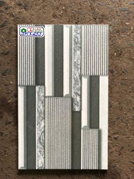 Decorative Tiles 25x40 TMX253