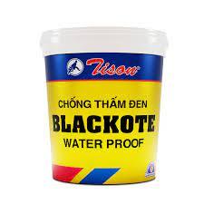 Black Ceiling Waterproof BLACKOTE