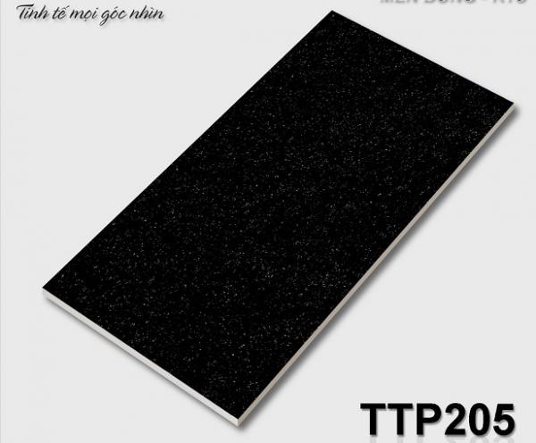 Gạch Trang Trí (25X40) TOCERA 25208 (10V) TTP