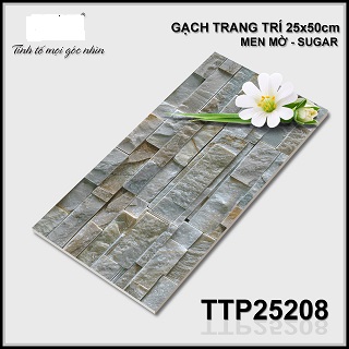 Gạch Trang Trí (25X50) TOCERA 25208 (8V) TTP