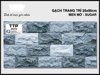 Gạch Trang Trí (25X50) TOCERA 25213(8V) TTP
